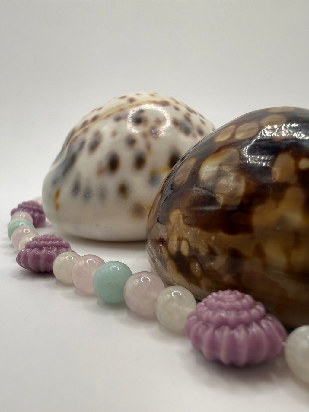 Nautilya Bracelet